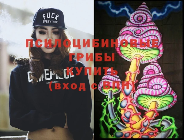Альфа ПВП Аркадак