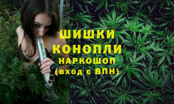 Альфа ПВП Аркадак