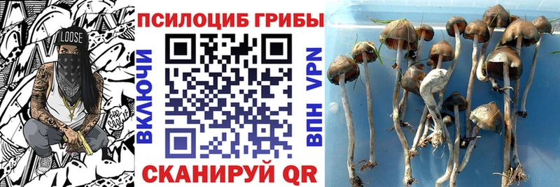 Галлюциногенные грибы GOLDEN TEACHER  Геленджик 