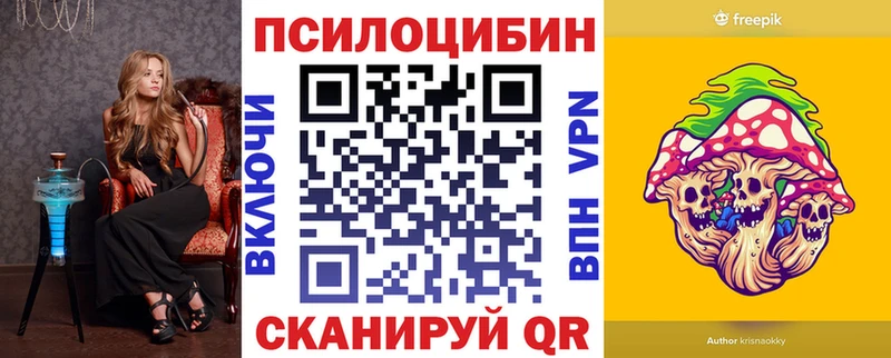 Псилоцибиновые грибы Psilocybe Геленджик