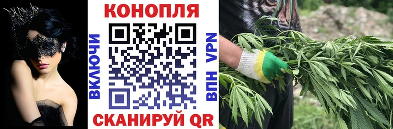 Канабис SATIVA & INDICA Геленджик