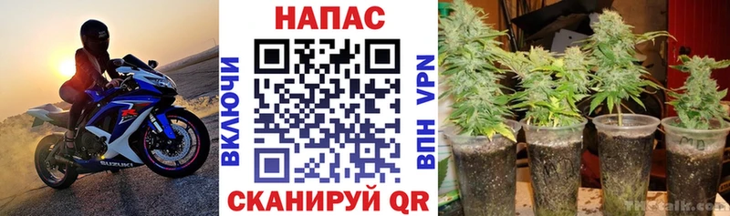 Марихуана конопля  Геленджик 